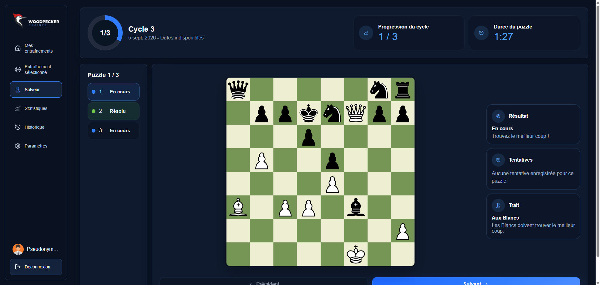 Résolution d'un puzzle d'échecs